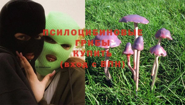 ECSTASY Абдулино