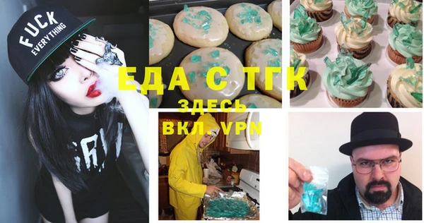 тгк Новодвинск