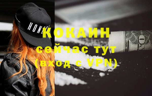 тгк Новодвинск