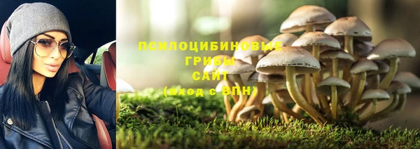 mix Новозыбков