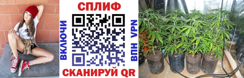 где продают наркотики Анадырь Бошки Шишки LSD WEED